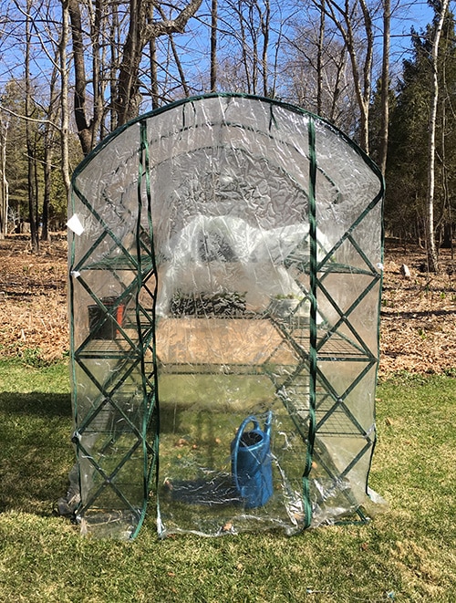 Temporary greenhouse