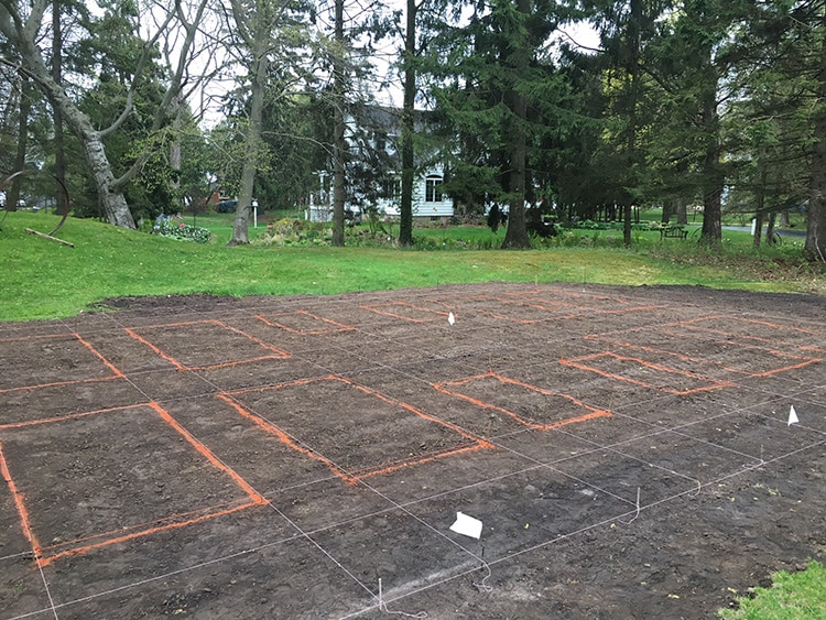 Laying out the vegetable garden