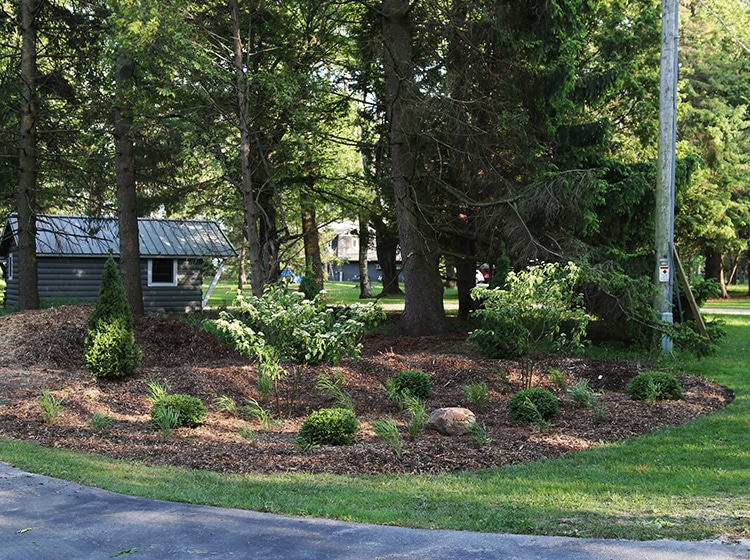 privacy screen and welcoming entrance garden