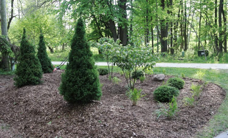 new privacy garden