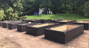 stained garden beds