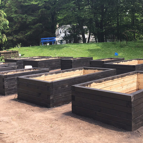 stained garden beds