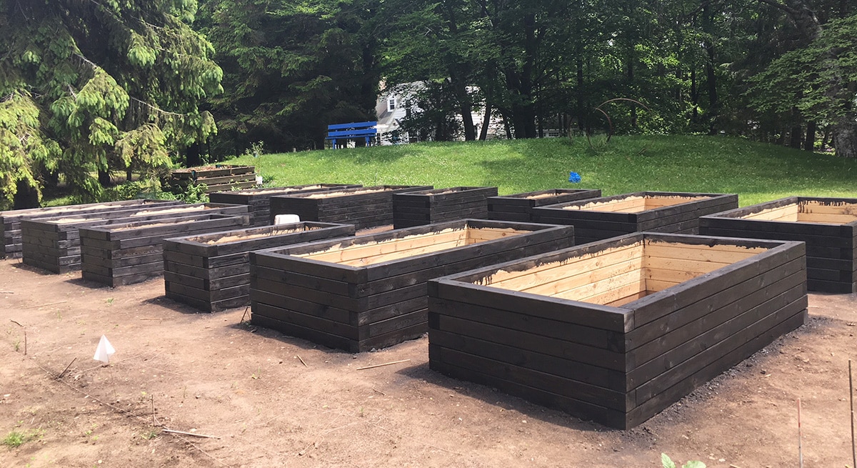 Raised Bed Garden Construction Part  Staining And Sealing The Impatient Gardener - What's The Best Wood To Use For Raised Garden Beds
