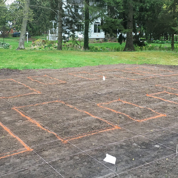 laying out a vegetable garden
