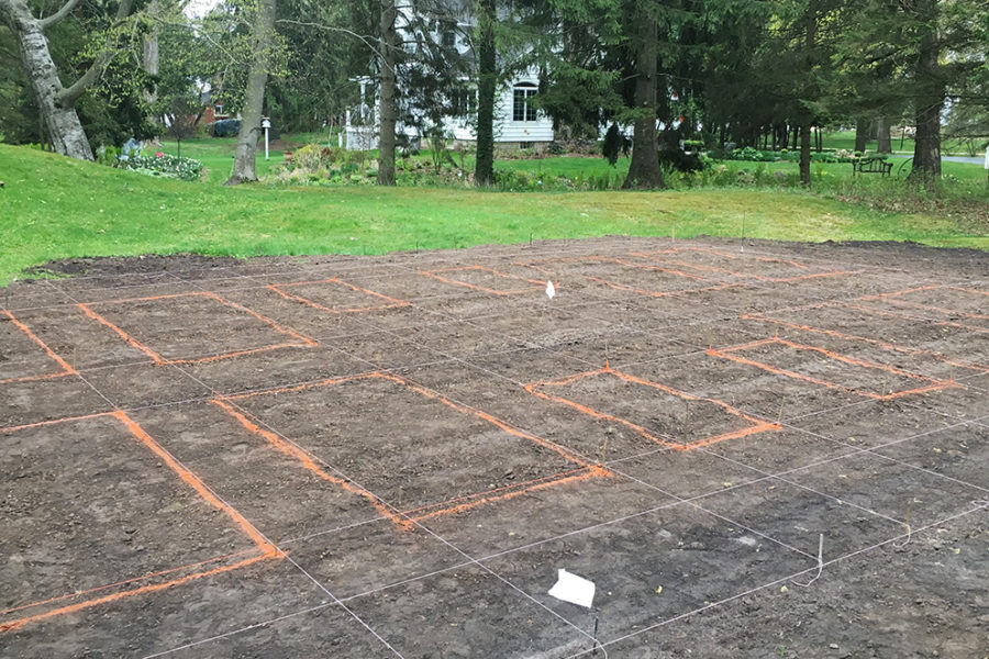 laying out a vegetable garden