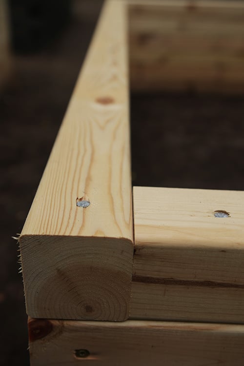 Top of raised beds.