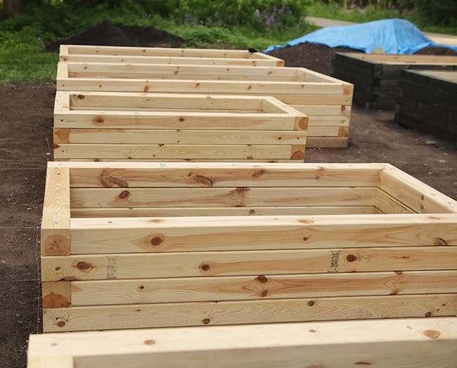 raised beds in a line.