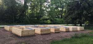 completed raised beds