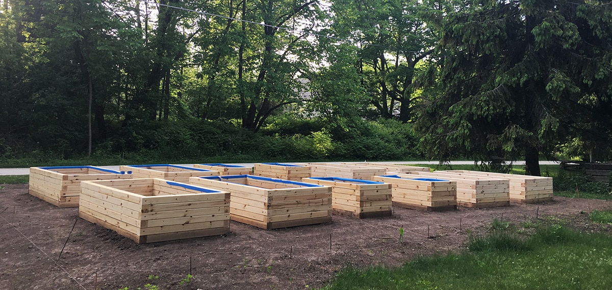 completed raised beds