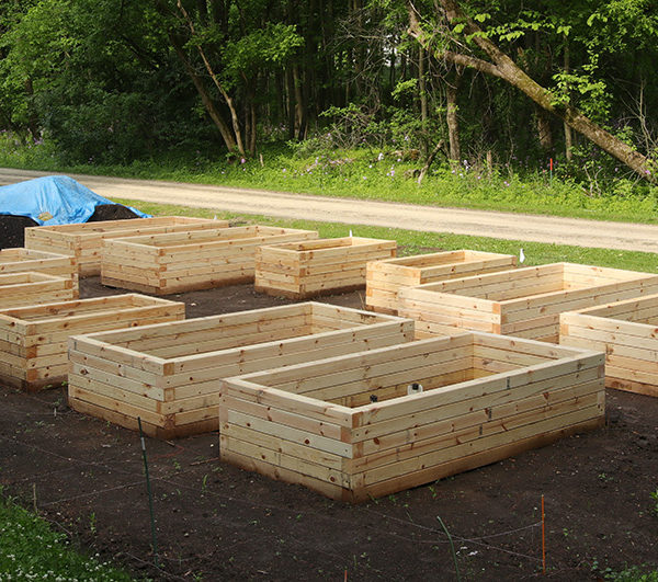 raised beds