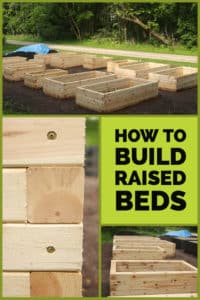 How to build raised beds
