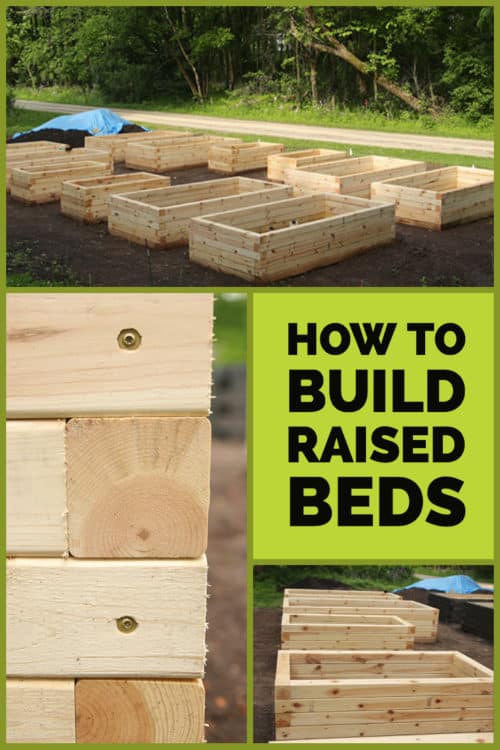 How to build raised beds 