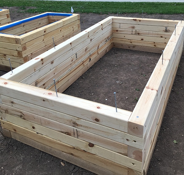 Raised Bed Garden Construction Part 2, What Kind Of Wood Should I Use For Raised Garden Beds