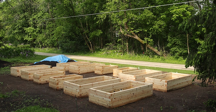 raised bed garden