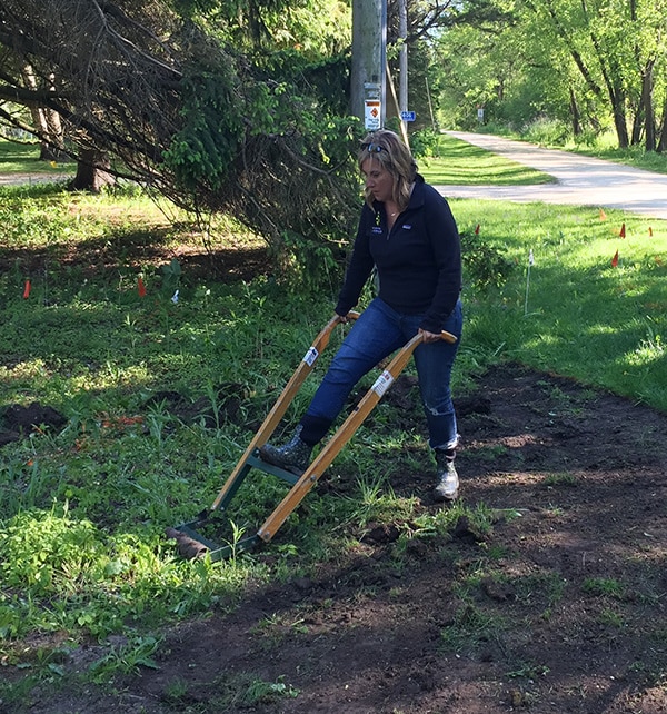 Manual sod remover