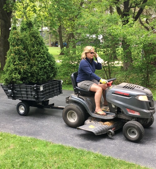 moving plants