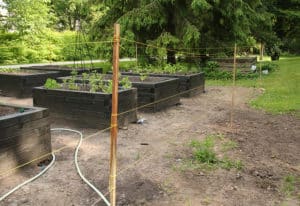 Temporary deer fence