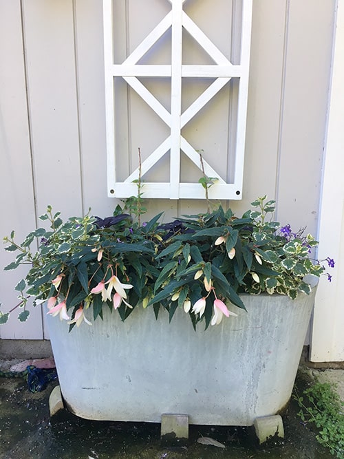 shade planter