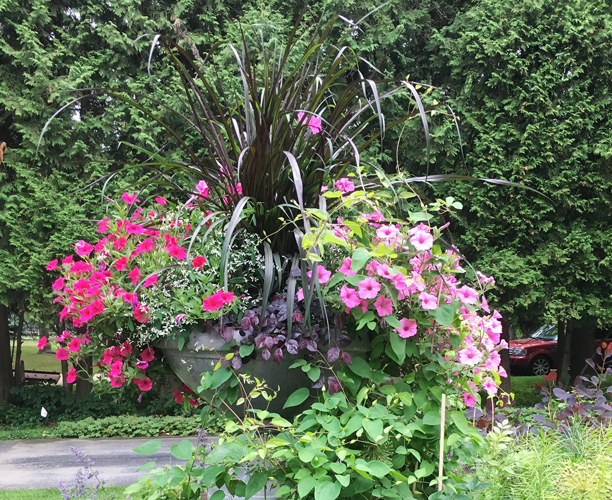 pink flower urn