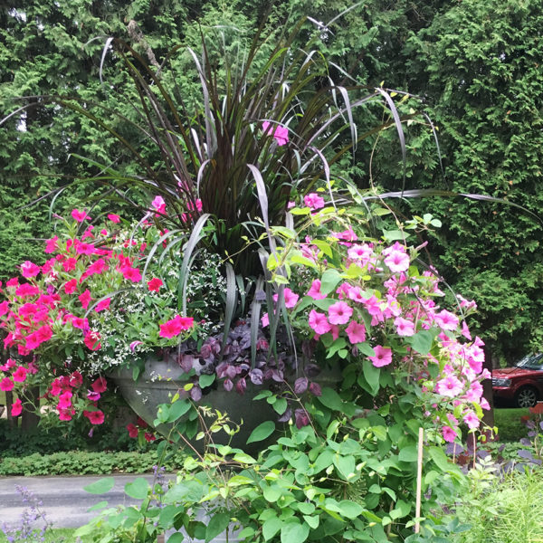 pink flower urn