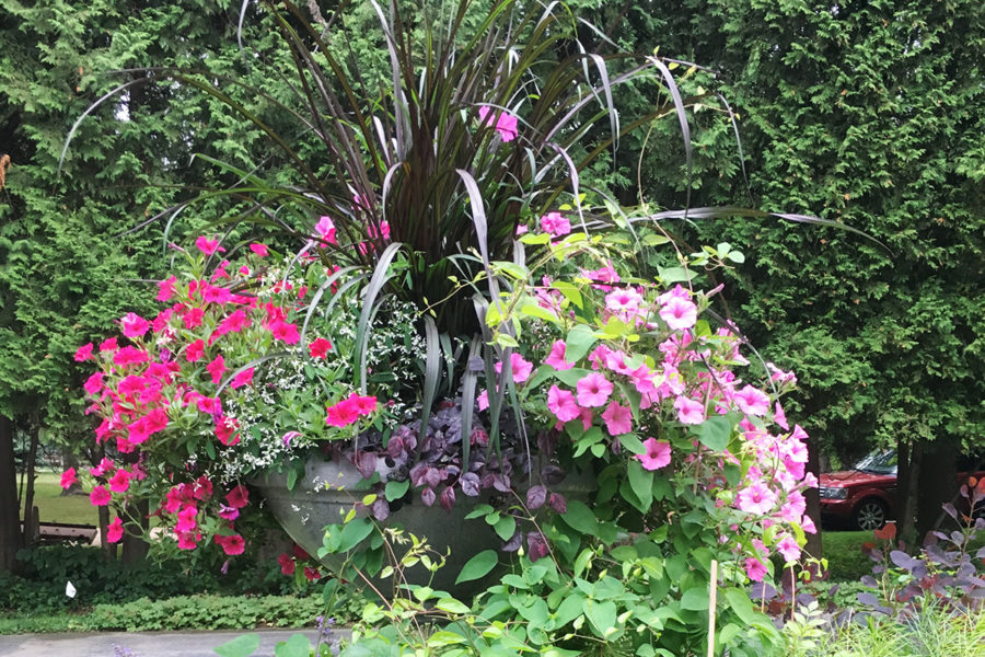 pink flower urn