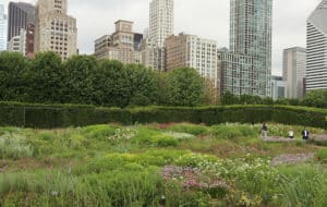 Lurie Garden