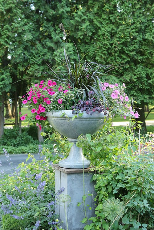 Urn in garden