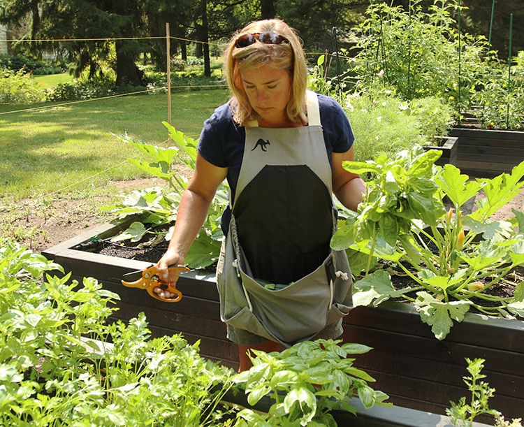 Harvest apron