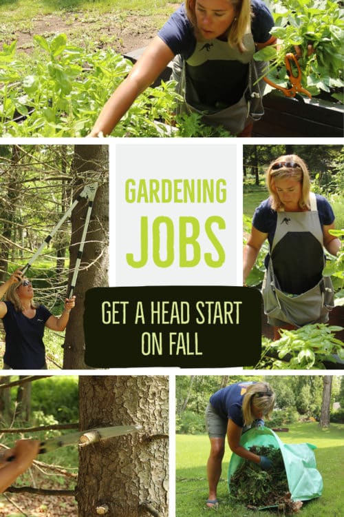 Get a jump on fall gardening jobs by gearing up now