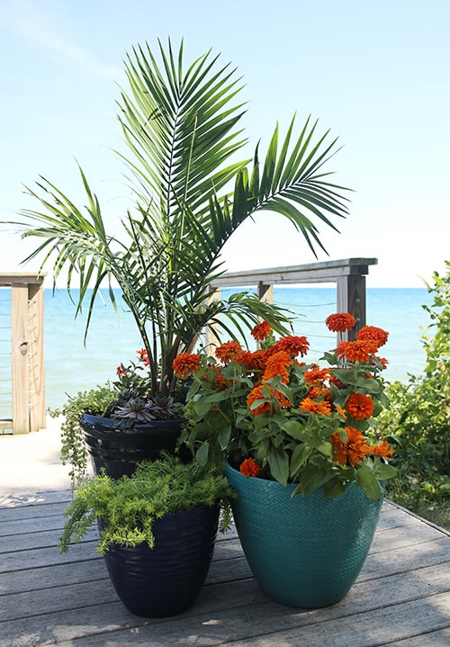 Tropical containers