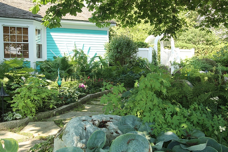 shady garden walkway