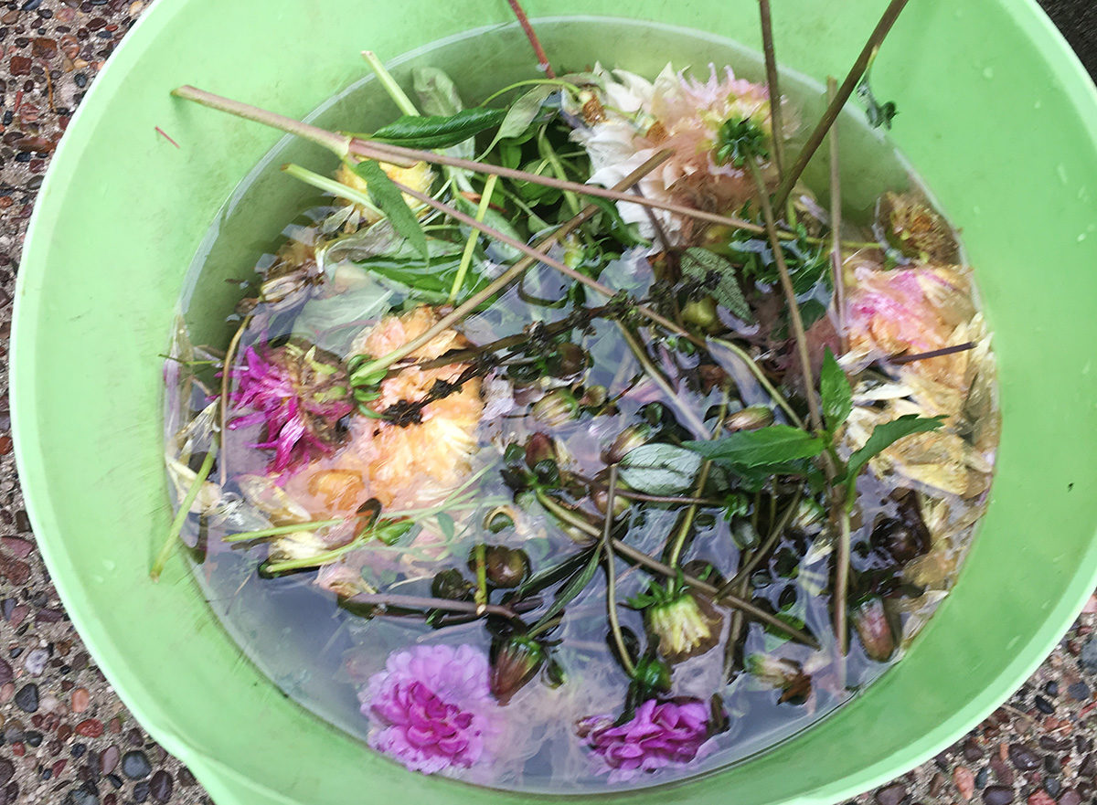 rain in bucket