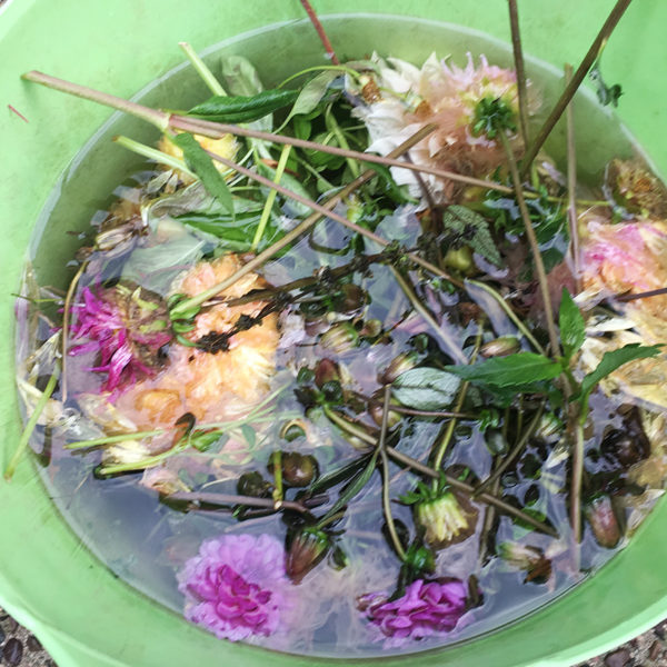 rain in bucket