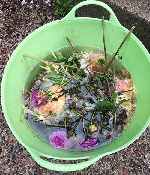 rain in bucket