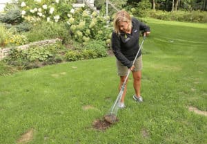 patching grass fall lawn care