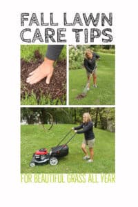 Fall lawn care tips for a beautiful lawn all year