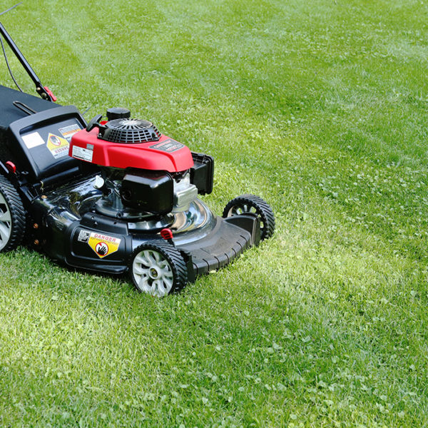 How a lawn mower fits into a fall gardening plan.