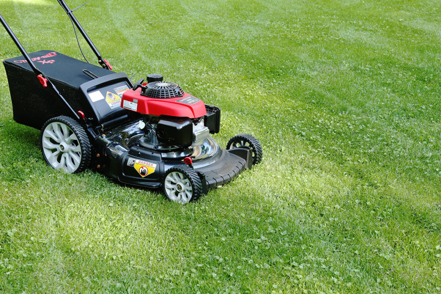 How a lawn mower fits into a fall gardening plan.