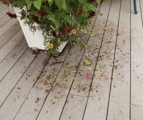 Decks gets stained and dirty from plant residue. Clean it all up in fall.