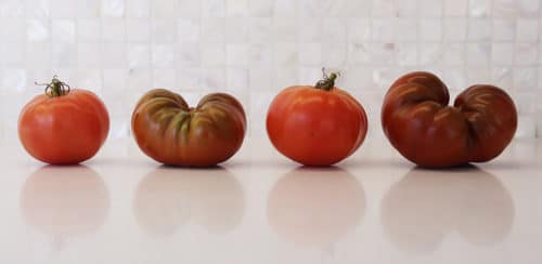 Ripen tomatoes on the windowsill.