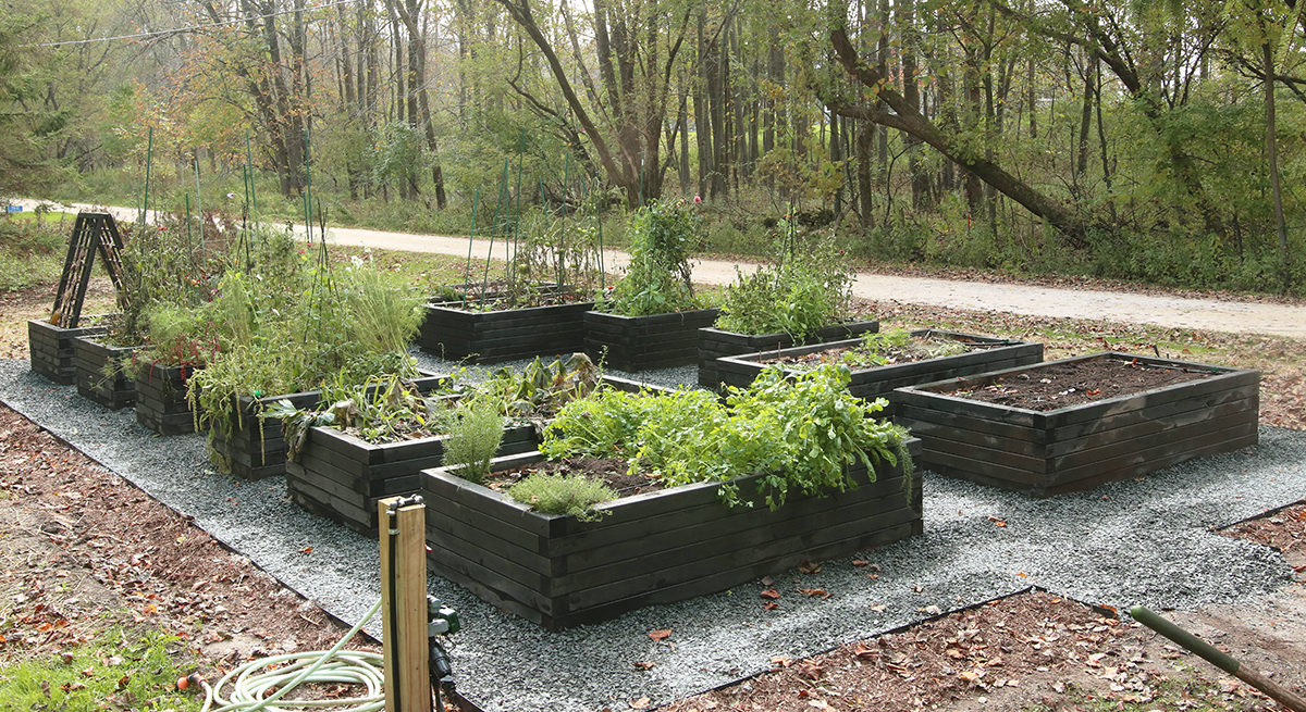 The Complete Guide to Raised Beds • Gardenary