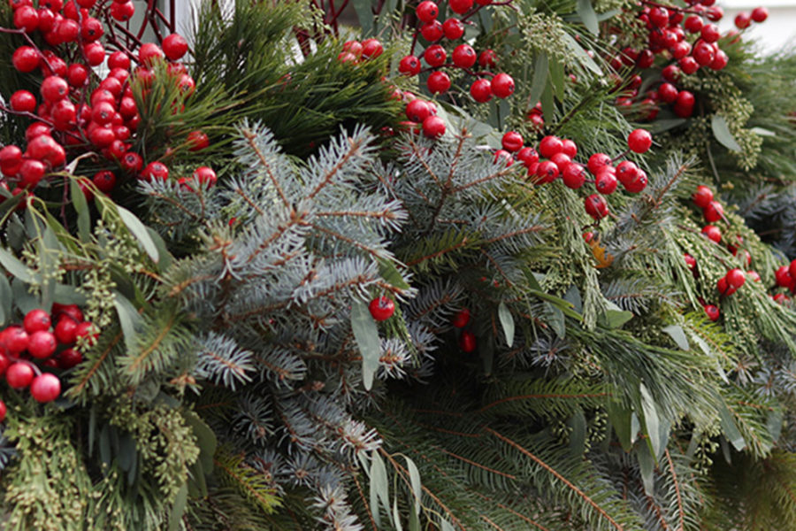 gifts for gardeners