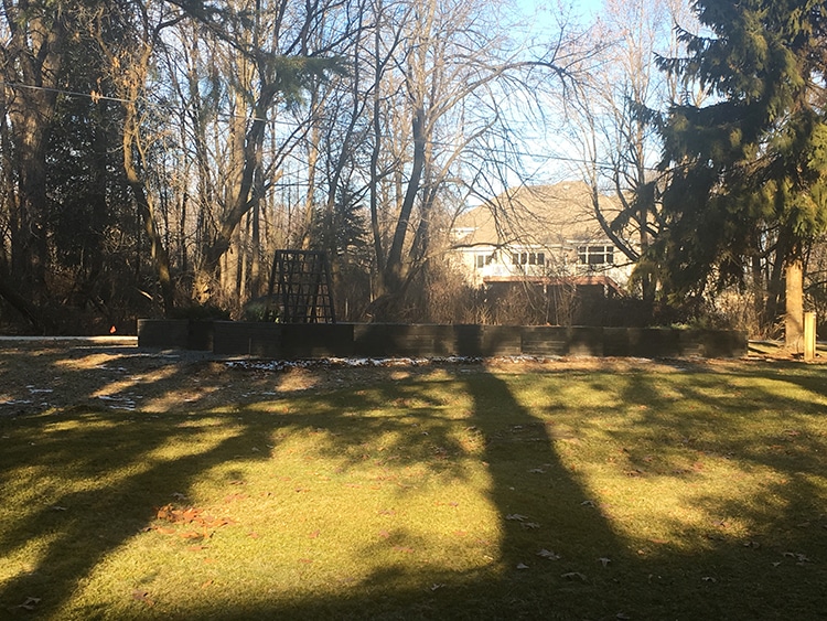 vegetable garden in shadows