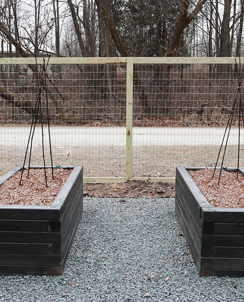 diy vegetable garden fence