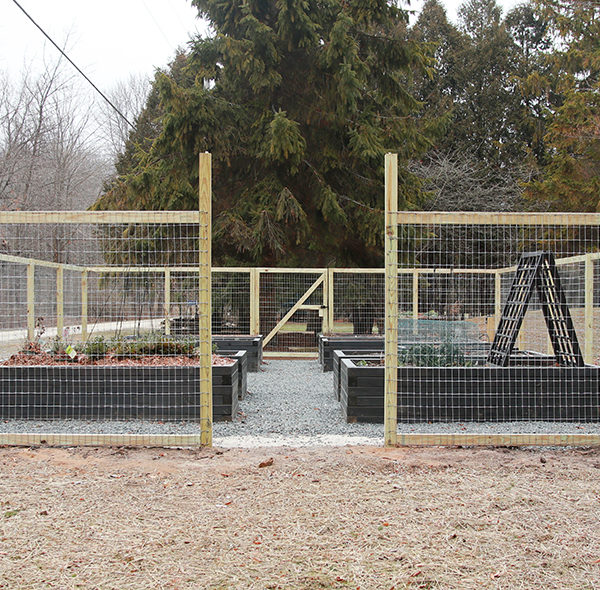 Fenced vegetable garden