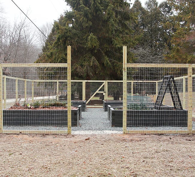 Fenced vegetable garden