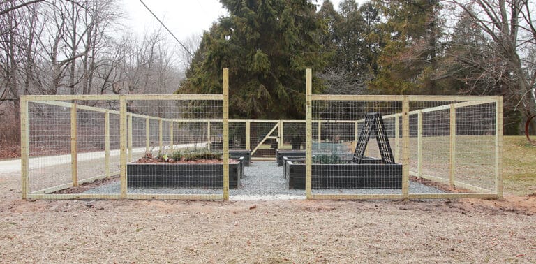 Fenced vegetable garden