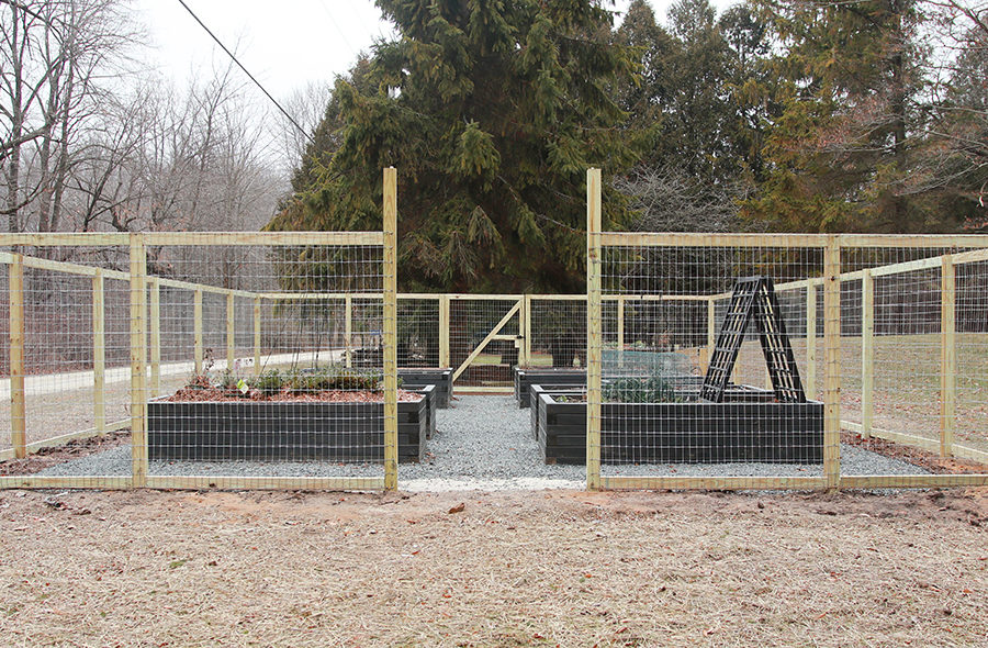 Fenced vegetable garden