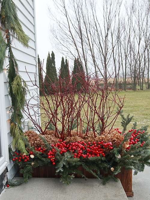 window box as planter also works as a divider