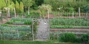 lee reich vegetable garden